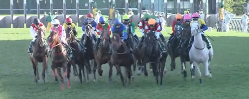 【札幌2歳S】過去10年データ傾向＆消去法