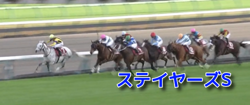 チャレンジCデータ(1)＆MRランクベスト5・重/不良適性ランク