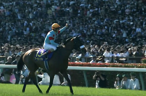 【ウマ娘】次のアニメの主人公アーモンドアイ、ドウデュース、イクイノックスどれがいい?