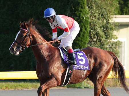 【天皇賞秋】スワーヴリチャード惨敗の理由は休養明け?それとも安田記念使ったから？