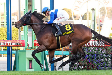 【競馬予想】[1]第31回シルクロードステークス(GⅢ) /2026