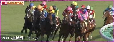 出走馬確定時点での今週の注目馬(12月3日～4日)