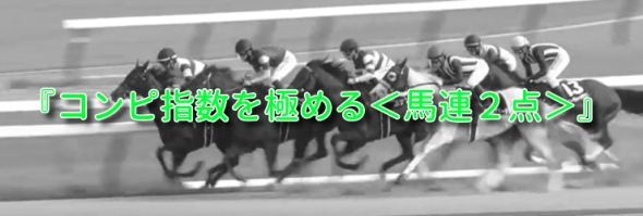 馬連たった2点で的中率52.3％,回収率144.0％！『コンピ指数を極める＜馬連２点＞』のご案内
