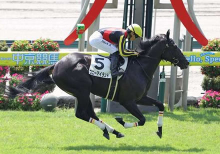 【2歳新馬】コニーアイランド強すぎワロタｗｗｗ