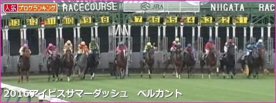 2017アイビスサマーダッシュデータ分析！前走芝1200mで？？だった馬は(0-0-0-20)