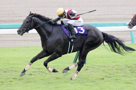 ルガル川田将雅とはなんだったのか