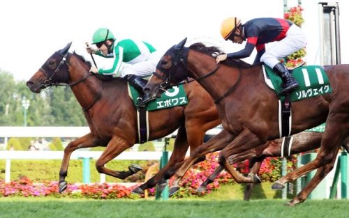 【競馬】この辺で、もう一回スプリント戦線を整理してみないか？