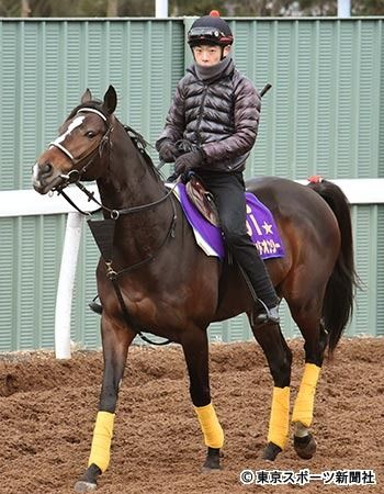 【競馬】急に走らなくなる馬は何が原因なのか
