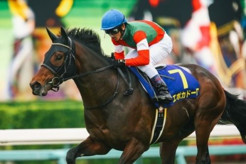 【競馬】来年、凱旋門賞に挑戦して欲しい日本馬