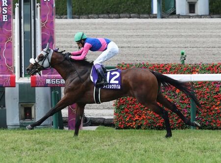 【天皇賞･秋】武豊「秋の天皇賞を逃げ切るのはかなりハードルが高い」