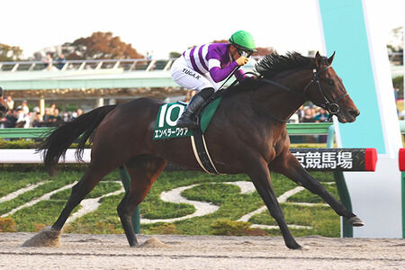 【競馬予想】[1]第40回根岸ステークス(GⅢ) /2026