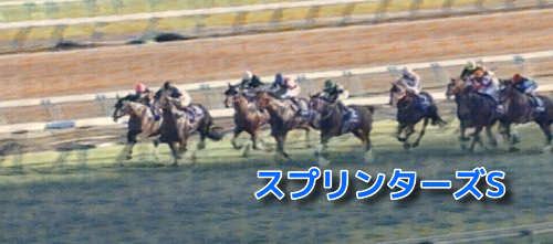 中山芝1200mの傾向とスプリンターズS登録馬の中山芝実績