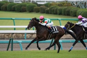 【競馬】　今年の天皇賞・秋、全然盛り上がらないよな