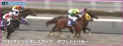 中京ダ1800m/騎手・種牡馬データ(2017チャンピオンズカップ)