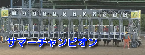 サマーチャンピオン(2023)データ分析！地方競馬交流重賞
