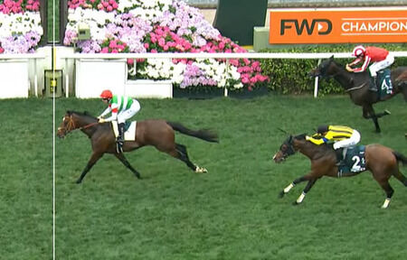 【朗報】タスティエーラ最弱ダービー馬候補から外れる