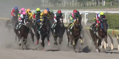 【レパードS】過去9年の傾向 買える条件＆データ消去法