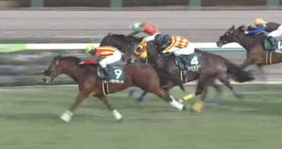 中山芝1200mの傾向とオーシャンS登録馬の中山芝実績