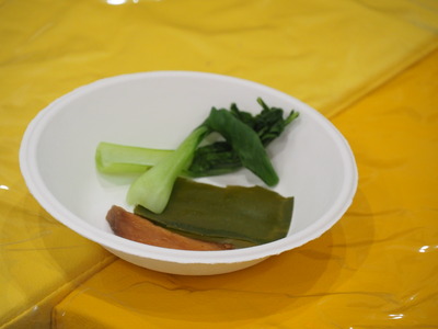 P9170094