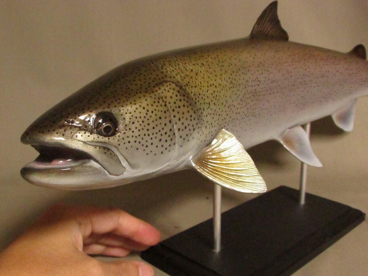 新作46cmイトウ完成したんですね。 : 魚の模型制作してい