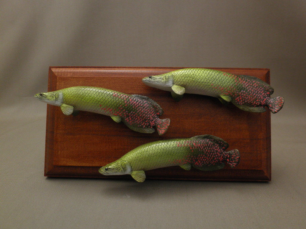 11,5cmピラルク : 魚の模型制作しています。 fish craft REAL