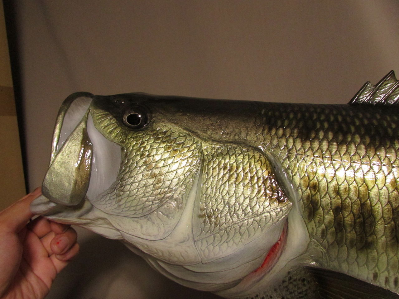 【美品】82cm ピラルク（樹脂製）fish craft REAL製作 手作りガラス細工 ガラス細工 さらさリュウキン ペアセット C747