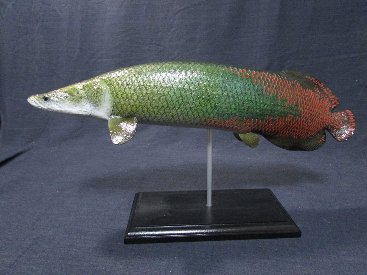 【美品】82cm ピラルク（樹脂製）fish craft REAL製作 Favorite｜ピラルクー ソフトモデル｜ソフト素材を使用した