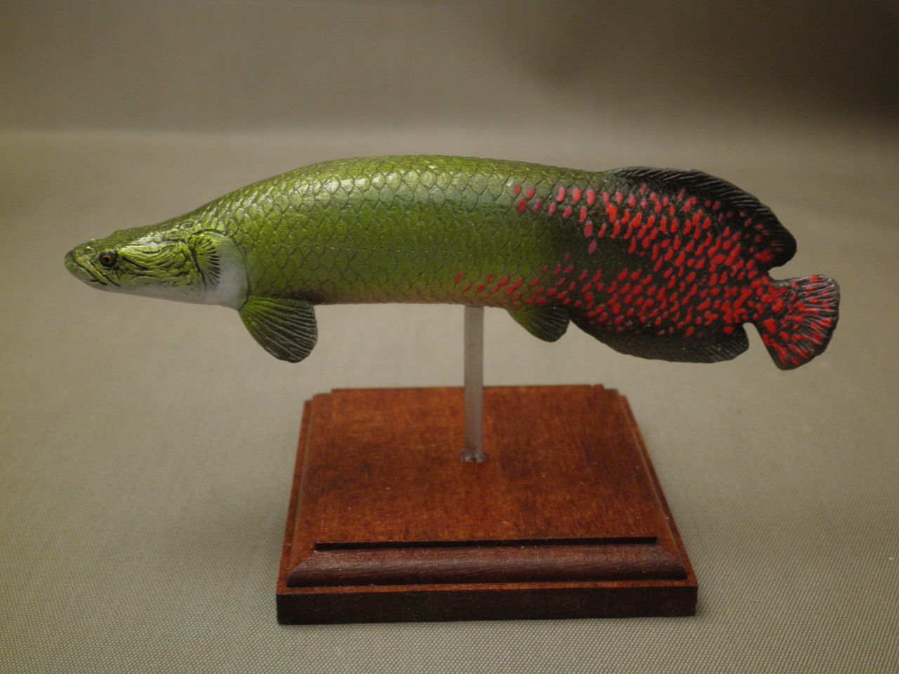 【美品】82cm ピラルク（樹脂製）fish craft REAL製作 ハンドメイド 82cmピラルク 魚模型 古代魚 熱帯魚 フィギュア