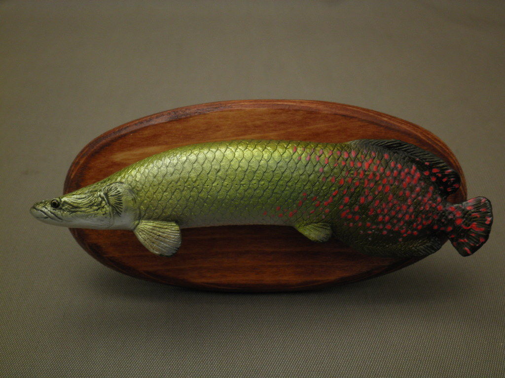 【美品】82cm ピラルク（樹脂製）fish craft REAL製作 ハンドメイド 82cmピラルク 魚模型 古代魚 熱帯魚 フィギュア