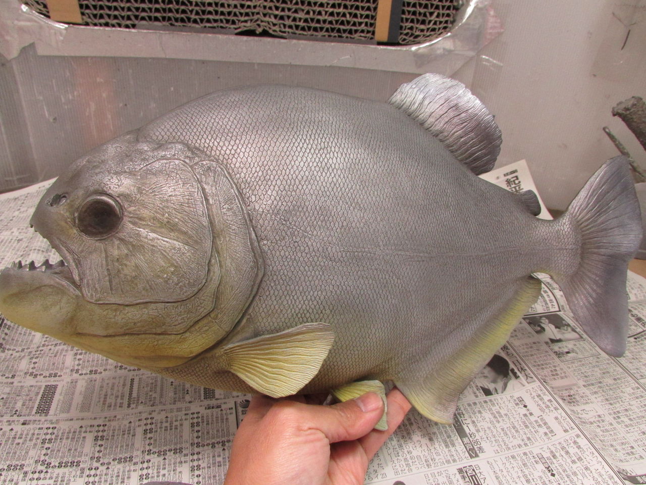 ピラニアの塗装ですね 魚の模型制作しています Fish Craft Real ピラニアの塗装ですね 魚の模型制作しています Fish Craft Real