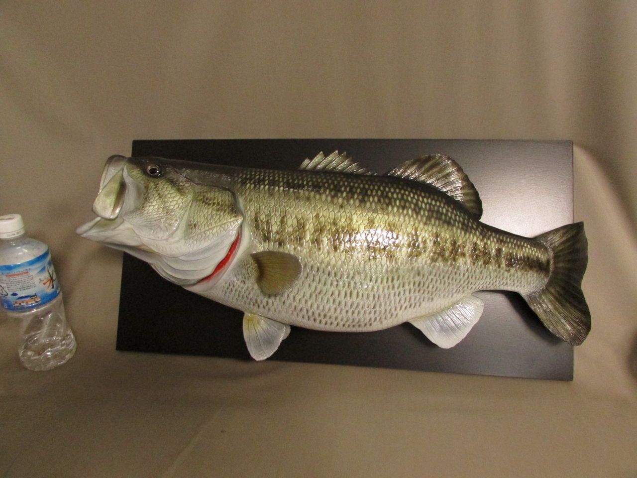 週に一回は釣りに行きたいですね。 : 魚の模型制作しています。 fish craft REAL