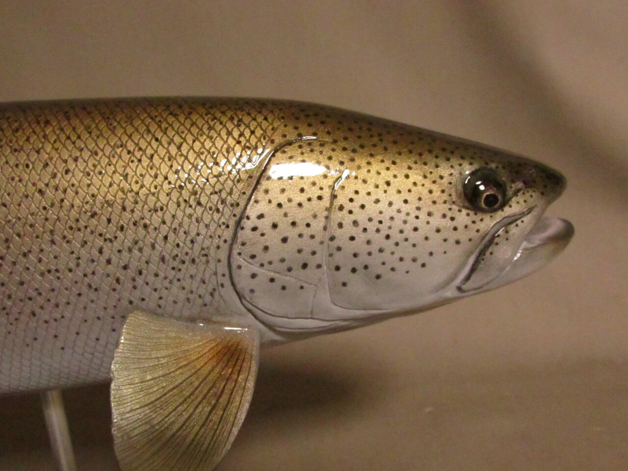 【美品】46cm イトウ（樹脂製）fish craft REAL製作 美品】46cm イトウ（樹脂製）fish craft REAL製作