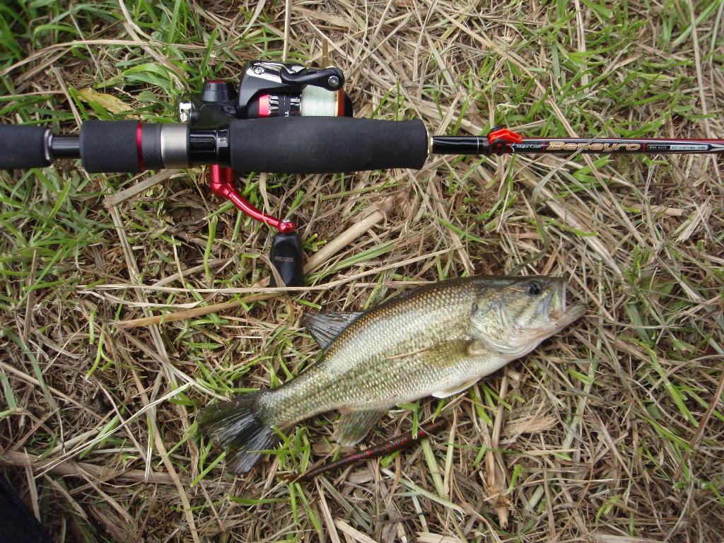 釣り 魚の模型制作しています Fish Craft Real