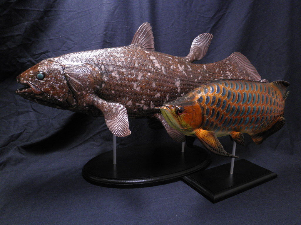 ハンドメイド　61cmシーラカンス　茶色　フィギュア　レプリカ　化石魚　置物 ハンドメイド 61cmシーラカンス 茶色 フィギュア レプリカ 化石