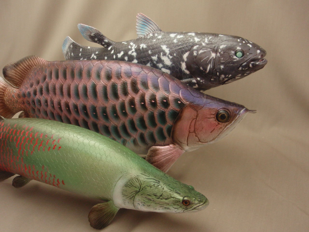 シーラカンス ピラルク アロワナ1円から出品中です 魚の模型制作しています Fish Craft Real シーラカンス ピラルク アロワナ1円から出品中です 魚の模型制作しています Fish Craft Real