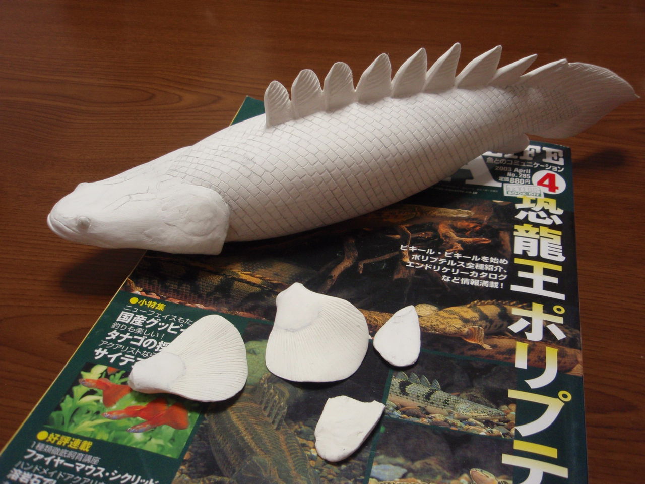 ポリプテルス・エンドリケリー原型 : 魚の模型制作しています。 fish