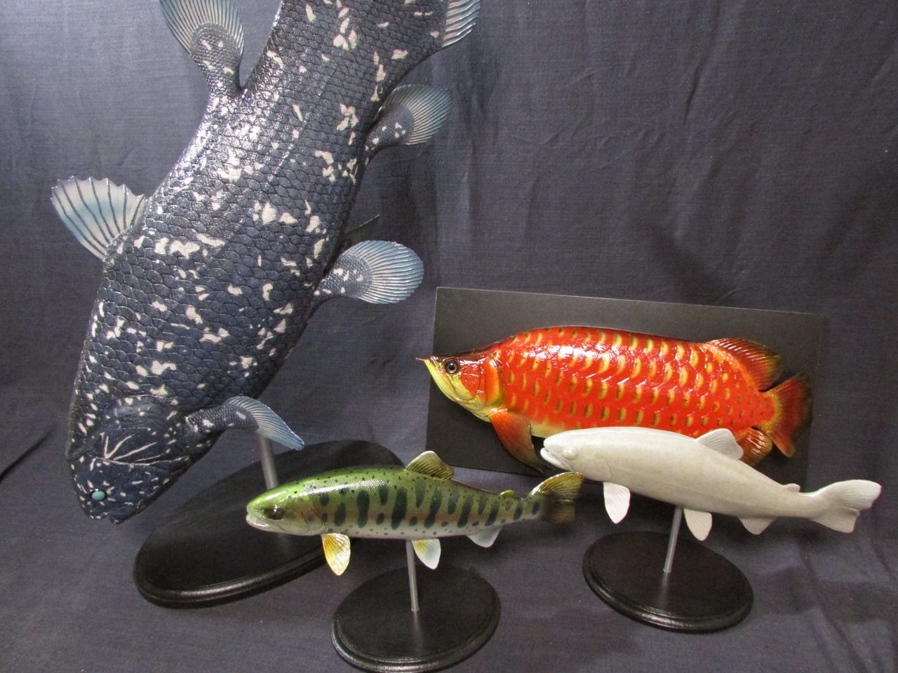 2014年10月 : 魚の模型制作しています。 fish craft REAL