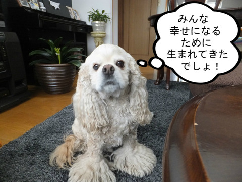 遺言犬の