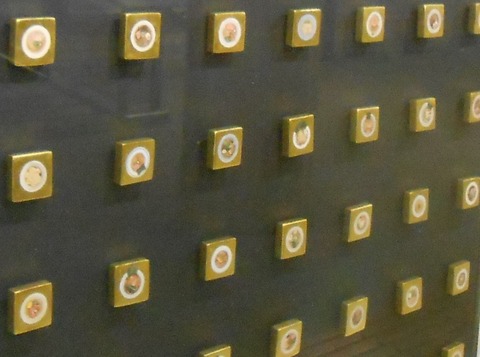 DSCN8890