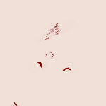 1571716874010