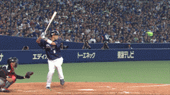このgifは本当に心を綺麗にしてくれる : ブースト速報