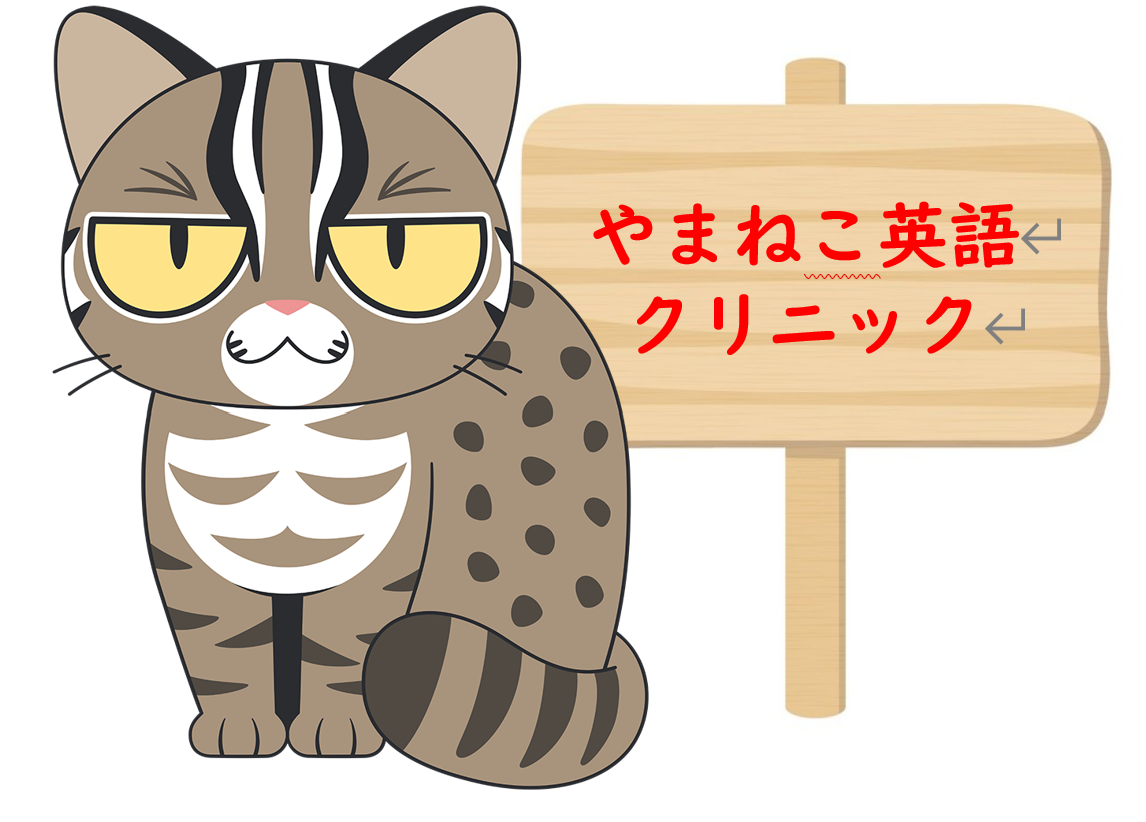 50 Whatを極める その１ やまねこ英語クリニック