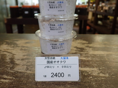久留米