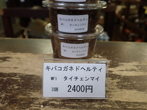 P7030003