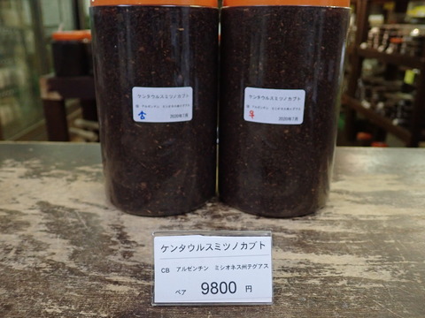 ケンタウルス