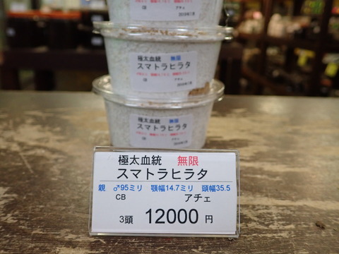 無限