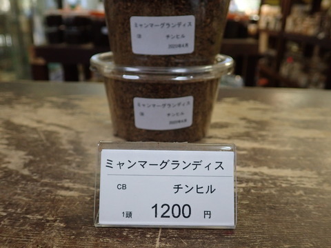 ミャンマーグラン