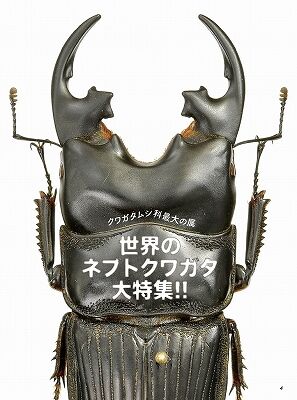 BE-KUWA86-004