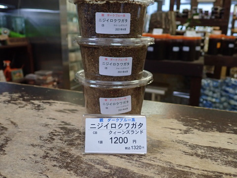 ダークブルー ニジイロ