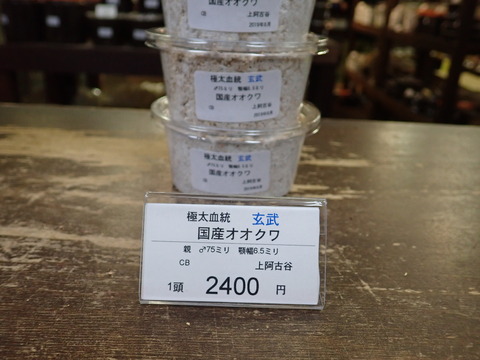 玄武